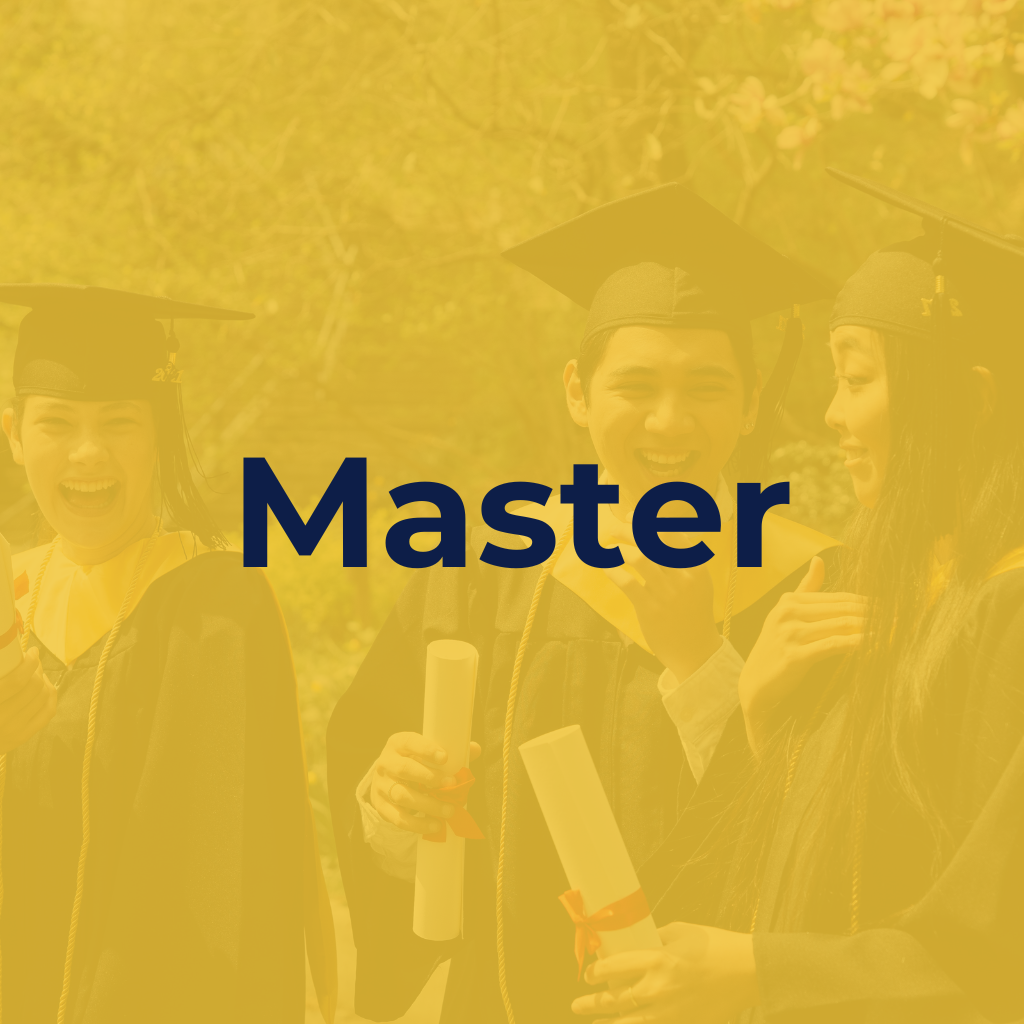 Digital E-School of Digital Marketing
